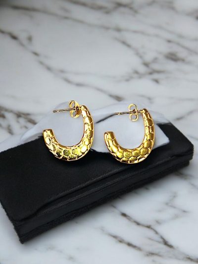 Snake Surface Hoop Earrings